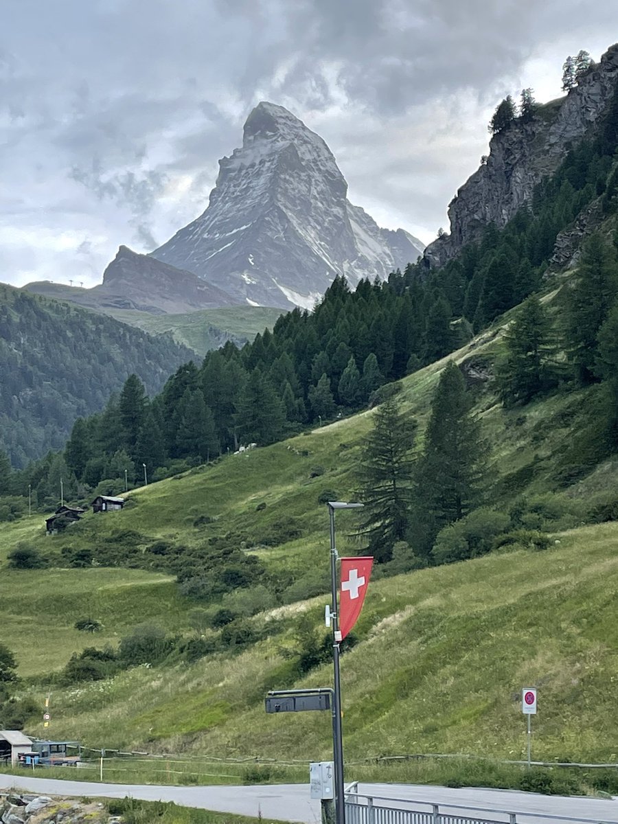 Susan Howey tweet media