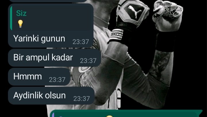 Akpliden max romantiklik