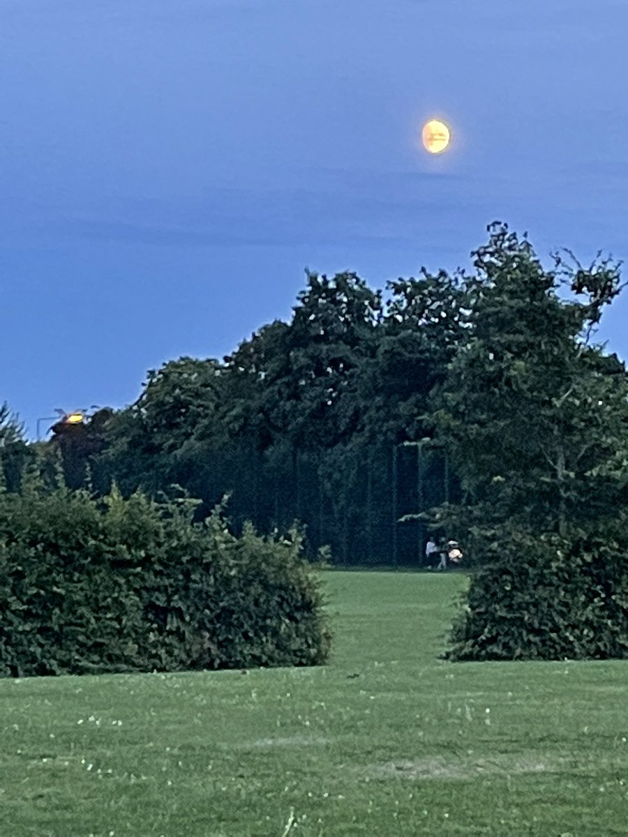 DeniseLowry17's tweet photo. A late evening walk for Tilly the Bassett for day 8 of #WeActiveChallenge #NIAHPsActive #AHPsActive And proof that Tilly does occasionally get out of bed! All activity counts. #paedphysio https://t.co/M0nIAvUanY