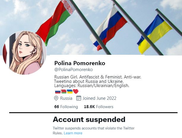 Denyo666's tweet photo. 1/5 A Russo-Ukrainian girl @polinapomorenko with 20,000 followers was suspended last week after targeted mass reporting by a group known as nafo. https://t.co/NoOhNtst11