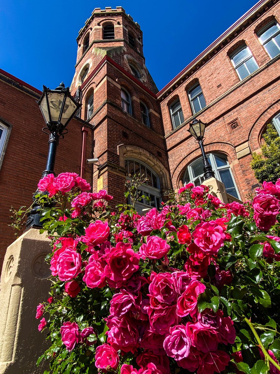 Anorthosis87's tweet photo. St Mary’s in bloom https://t.co/pPjypH5WPr