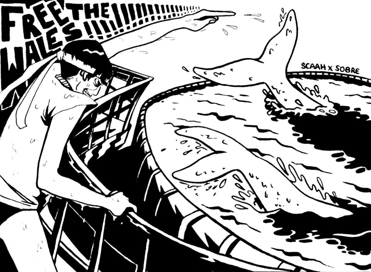 The KS Project tweet media