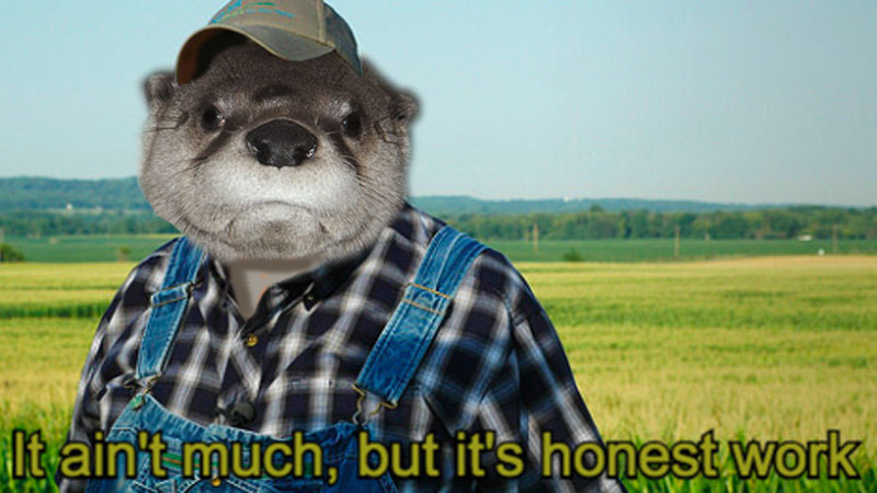 Happy Labor Day! We hope you enjoy your day off! 

River otters have important jobs too! As apex predators, they regulate species populations and serve as environmental quality sentinels!