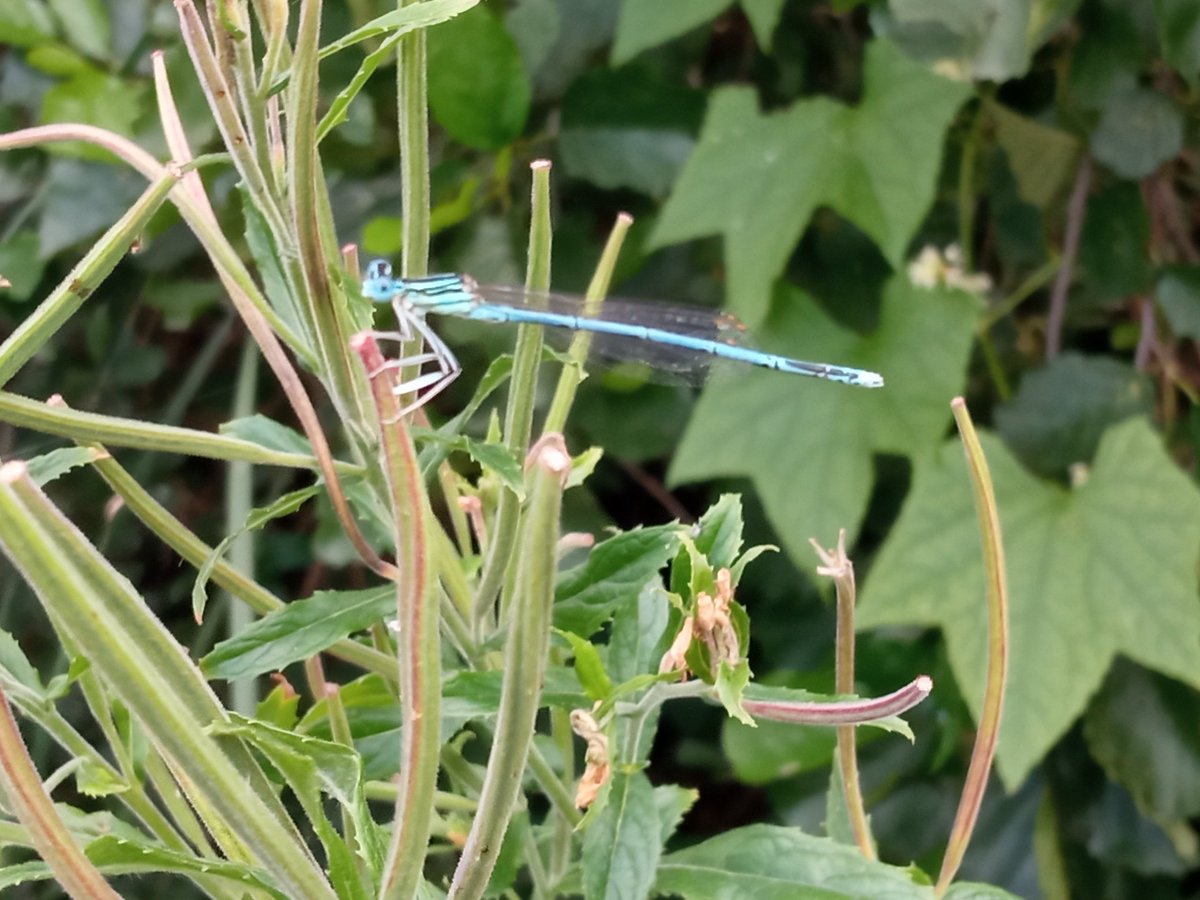 MarcinZenko's tweet image. Magiczna gwiazdeczka 😇😇😇😇