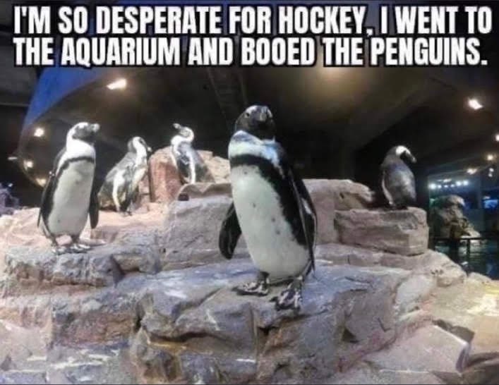 NYRangerFanclub's tweet photo. Is it October Yet? #nyr 

https://t.co/G8kUjf6Ajd https://t.co/ooSQ8dG32I