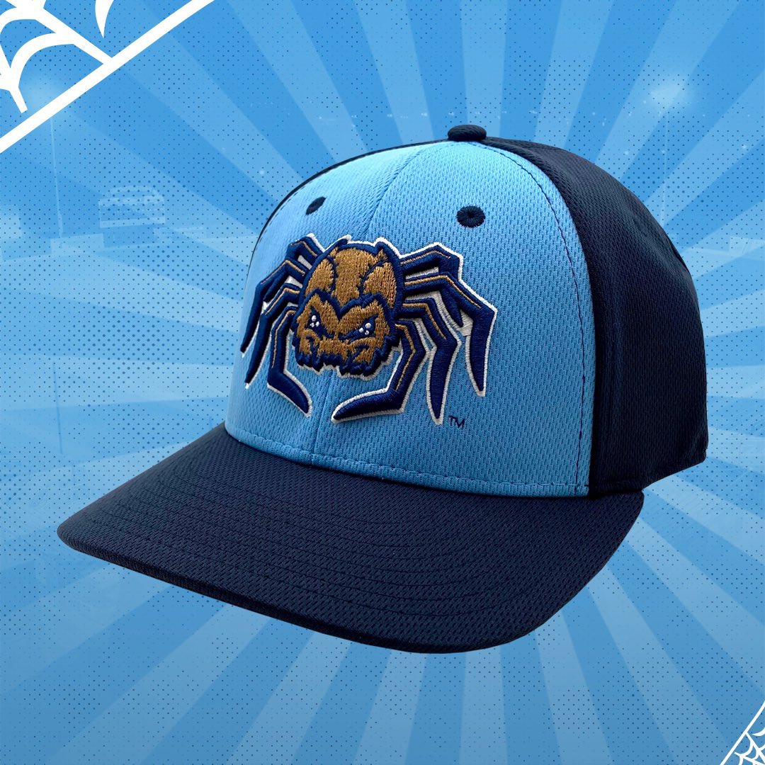Went down a Sports Mascot rabbit hole and found the Fond Du Lac Dock Spiders. Cool in and of itself, but LOOK AT THIS HAT.