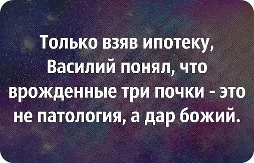 Кот с примусом (@kotsprimusom1) on Twitter photo 