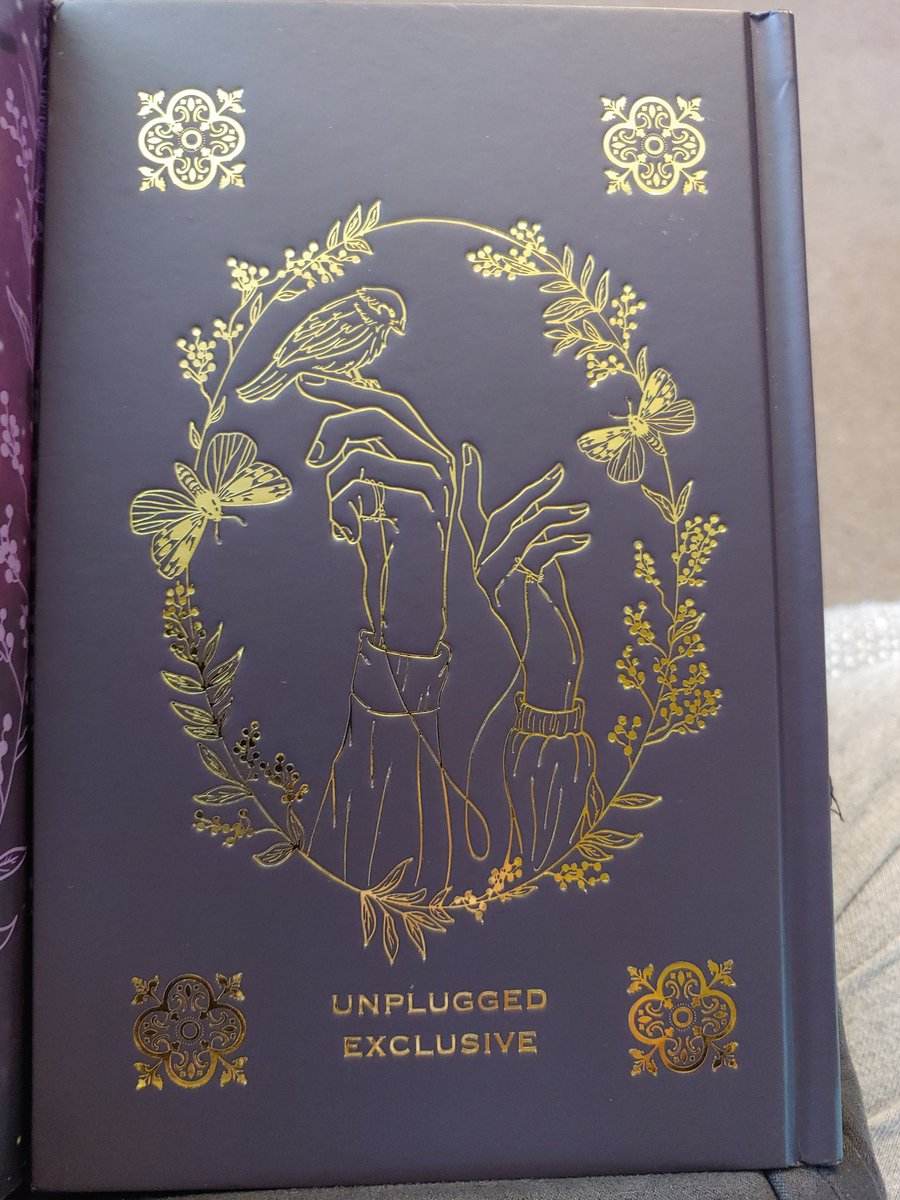 SeraphKittyzL's tweet image. #unpluggedbookbox
