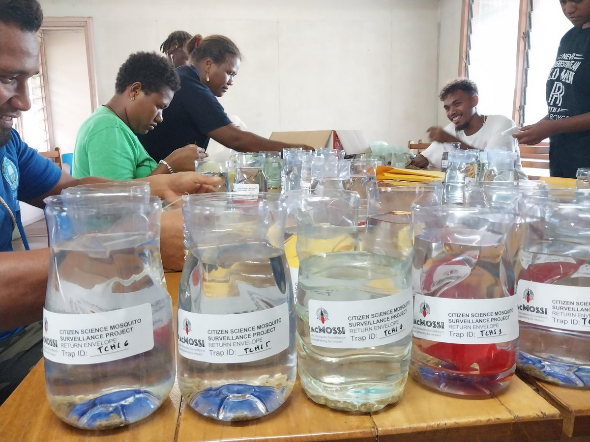 adam_craig2's tweet image. As part of the @PacMOSSI #citizenscience Initiative, #publichealth students from #SINU work with kids from 10 schools in #SolomonIslands to collect mosquito eggs in urban backyards. Samples are analyzed &amp;amp; #dengue mosquito maps produced to support #outbreak risk assessment/control