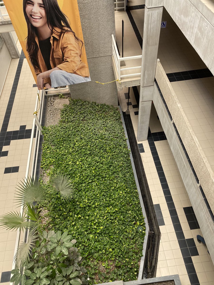 No Context U tweet media