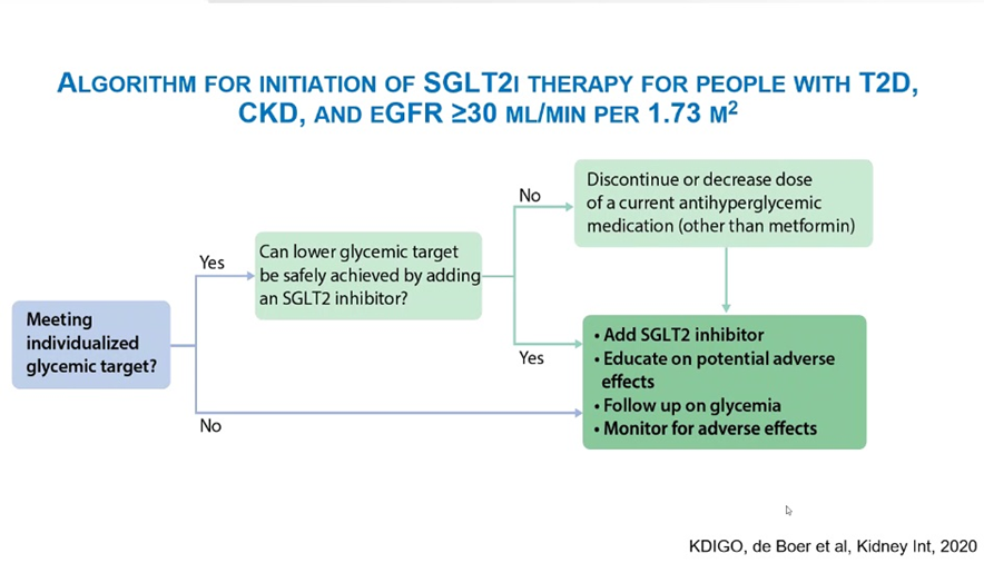 15) In European guidelines <a href="/goKDIGO/">KDIGO</a>, the use of SGLT2i is already first-line drug therapy in #T2D.