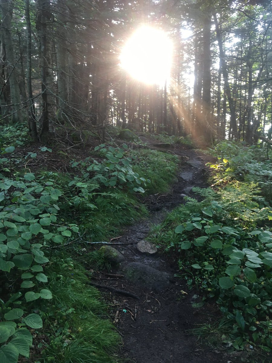 donlotz's tweet photo. Morning in the Kinsman Range in New Hampshire on the #appalachiantrail.  #hiking https://t.co/CUp4uHGEFp