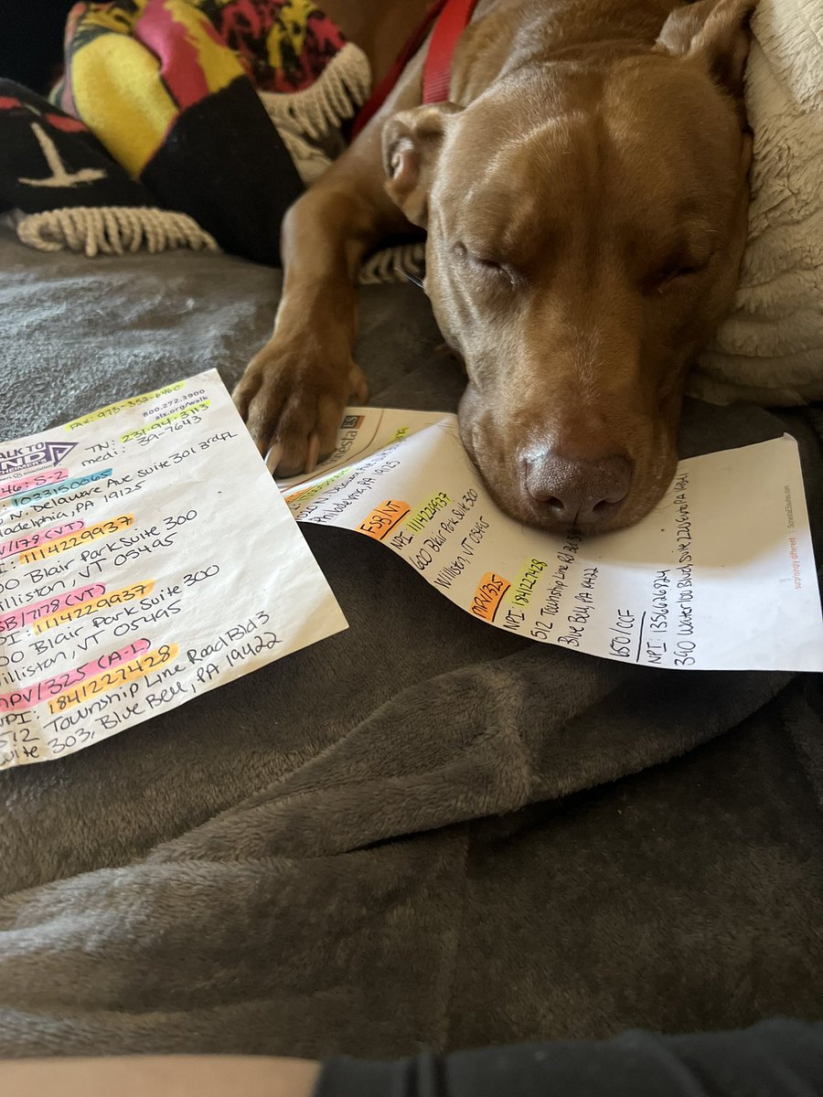 BeBeMe83's tweet photo. Now he’s 8 and thinks he can nap on the job https://t.co/WwcZ5RjRnd