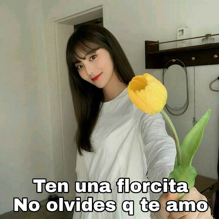 ₊˚ ⋆ 🪷 ₊˚ ⋆ 2K DE FLORECITAS tweet media