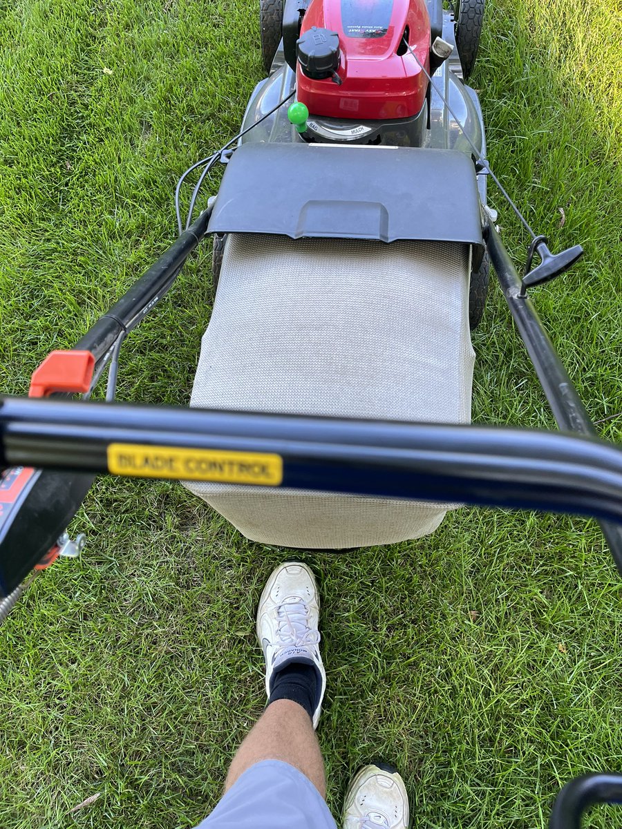 Monarch SZN tweet media