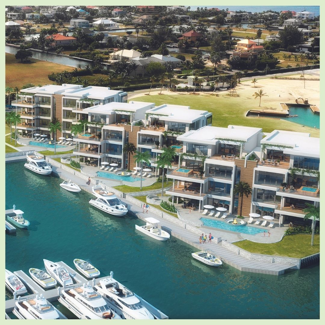 REAL LIFE Caribbean tweet media