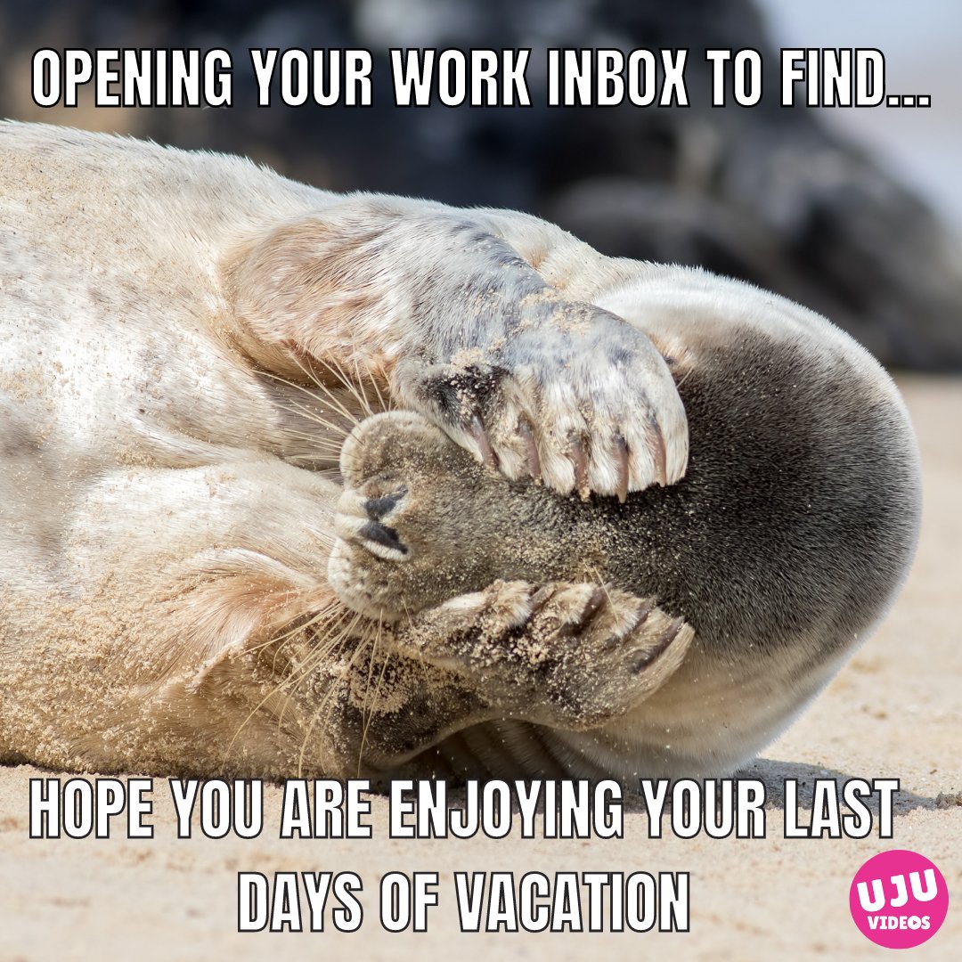 After weeks of emails from your subscriptions, that infamous email is finally here! 

Write in the comments the day teachers need to come back in your school! 

#backtowork #summer #school #youtube #education #teachers #teachersfollowteachers #teachersofinsta #teachersofinstagra