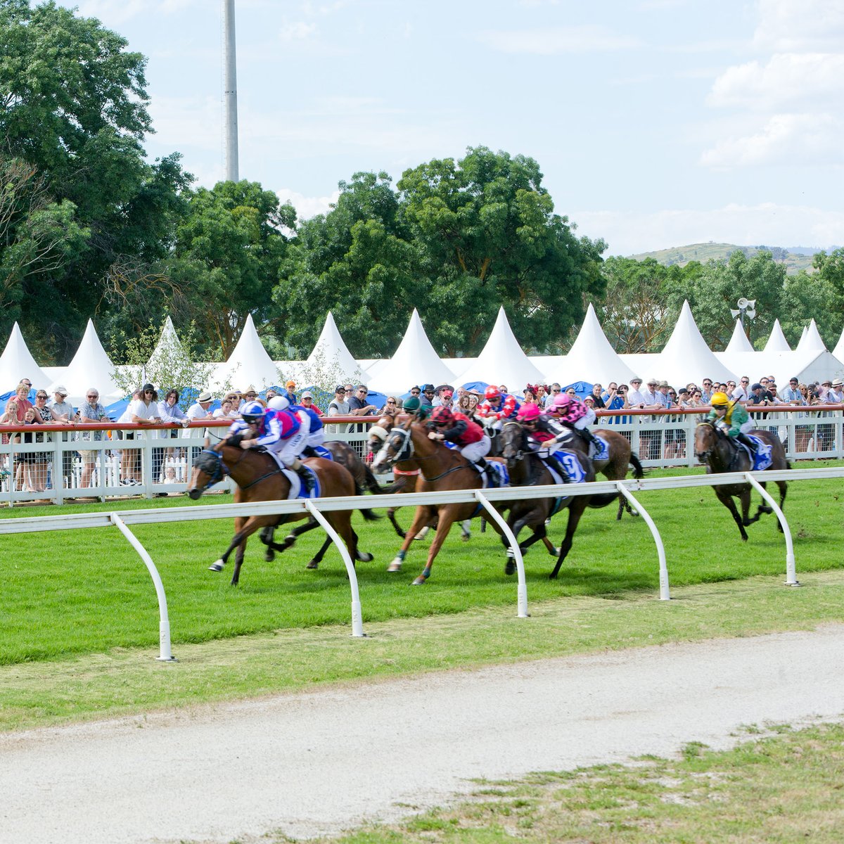 Yarra Valley Racing (@yvracing) on Twitter photo Our Events & Package Brochure is out now and we are taking bookings.  Check it out at tinyurl.com/8vuepawn
#yarravalleyracing#countryracing Our Events & Package Brochure is out now and we are taking bookings.  Check it out at tinyurl.com/8vuepawn
#yarravalleyracing#countryracing