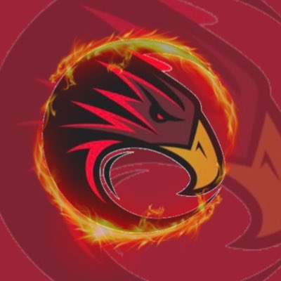 Florence Firebirds tweet media
