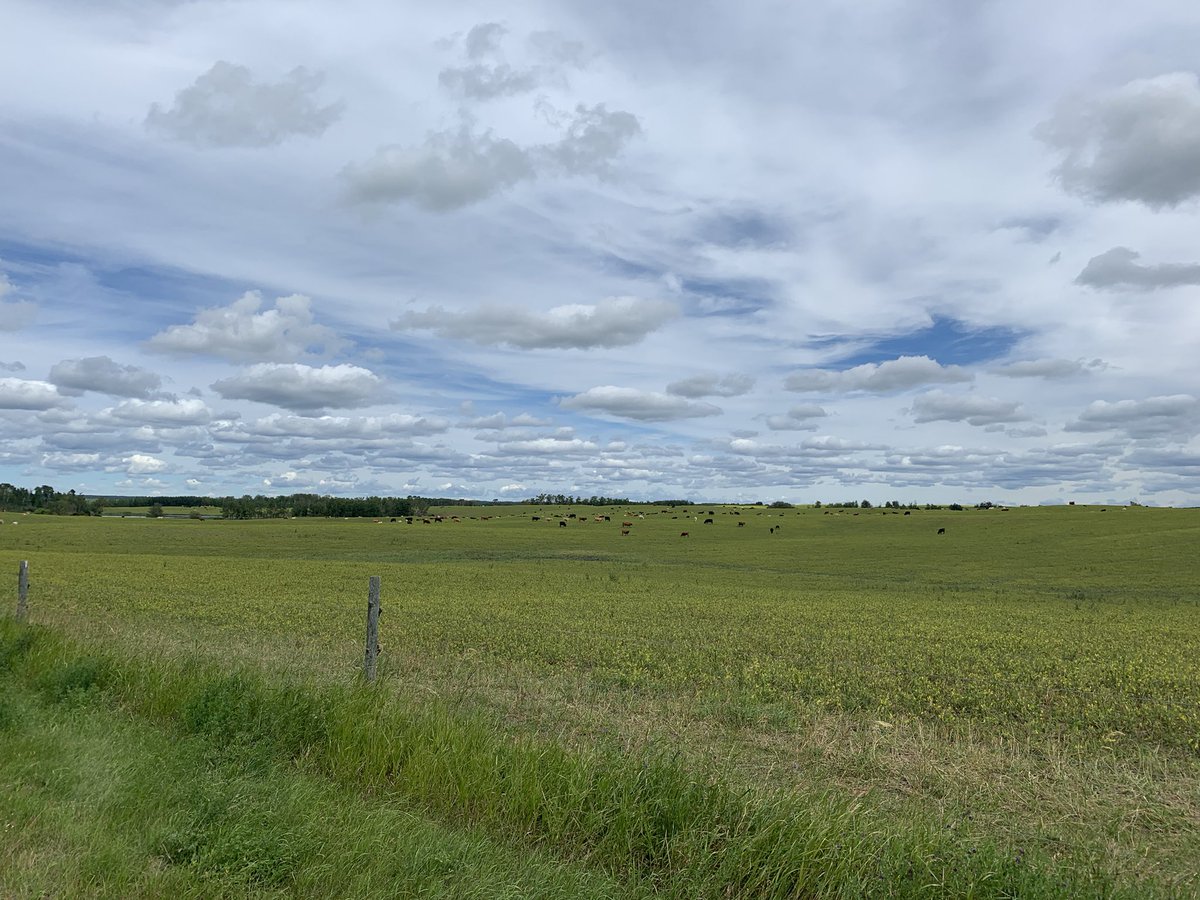 David Van Dam tweet media