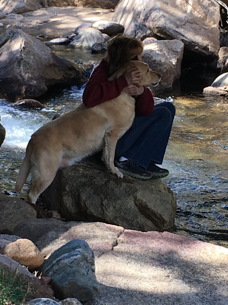 Mary Blye Kramer tweet media