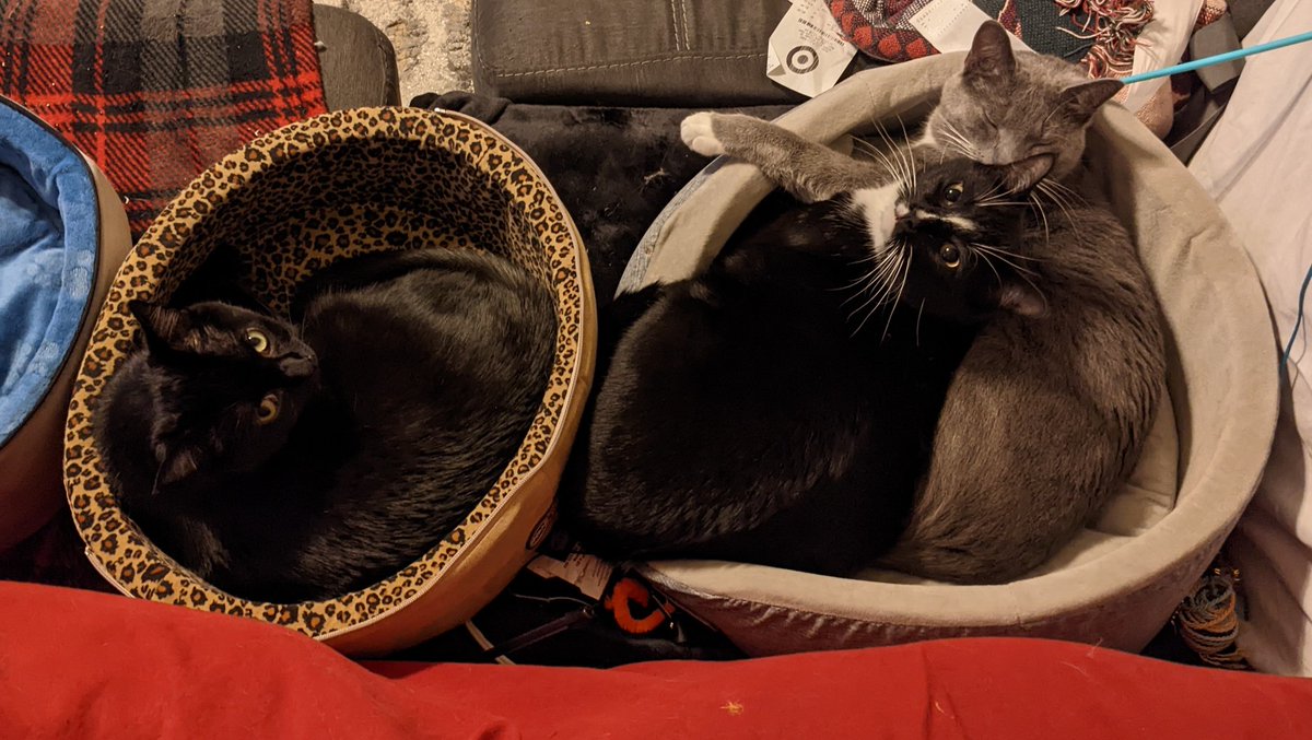 Brent Coffin tweet media