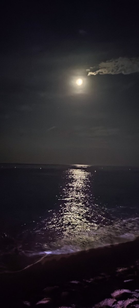 Alaidainei's tweet photo. @pabloalboran Concierto mágico aunque desde la playa🥰🥰@pabloalboran https://t.co/2S90rn7sQH