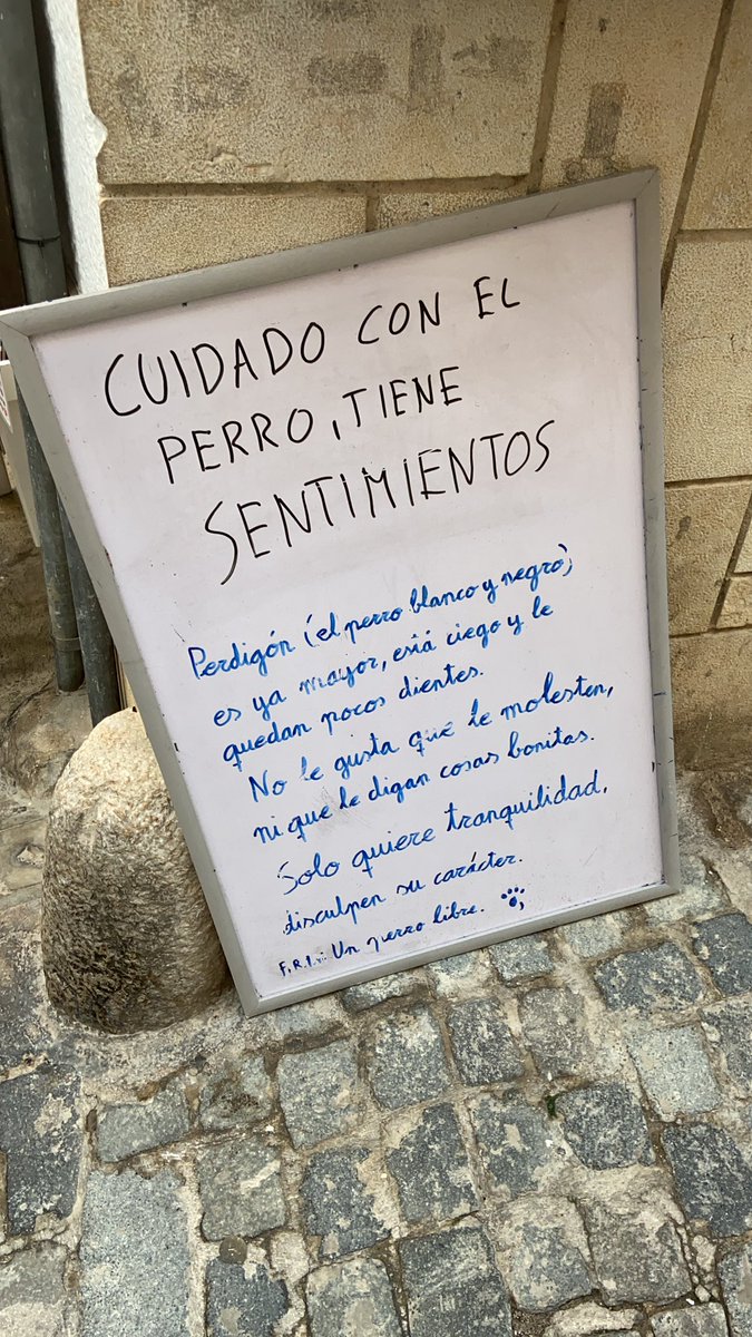 pautii's tweet photo. @memesiwish Same Perdigón https://t.co/8ycbTeTIf0
