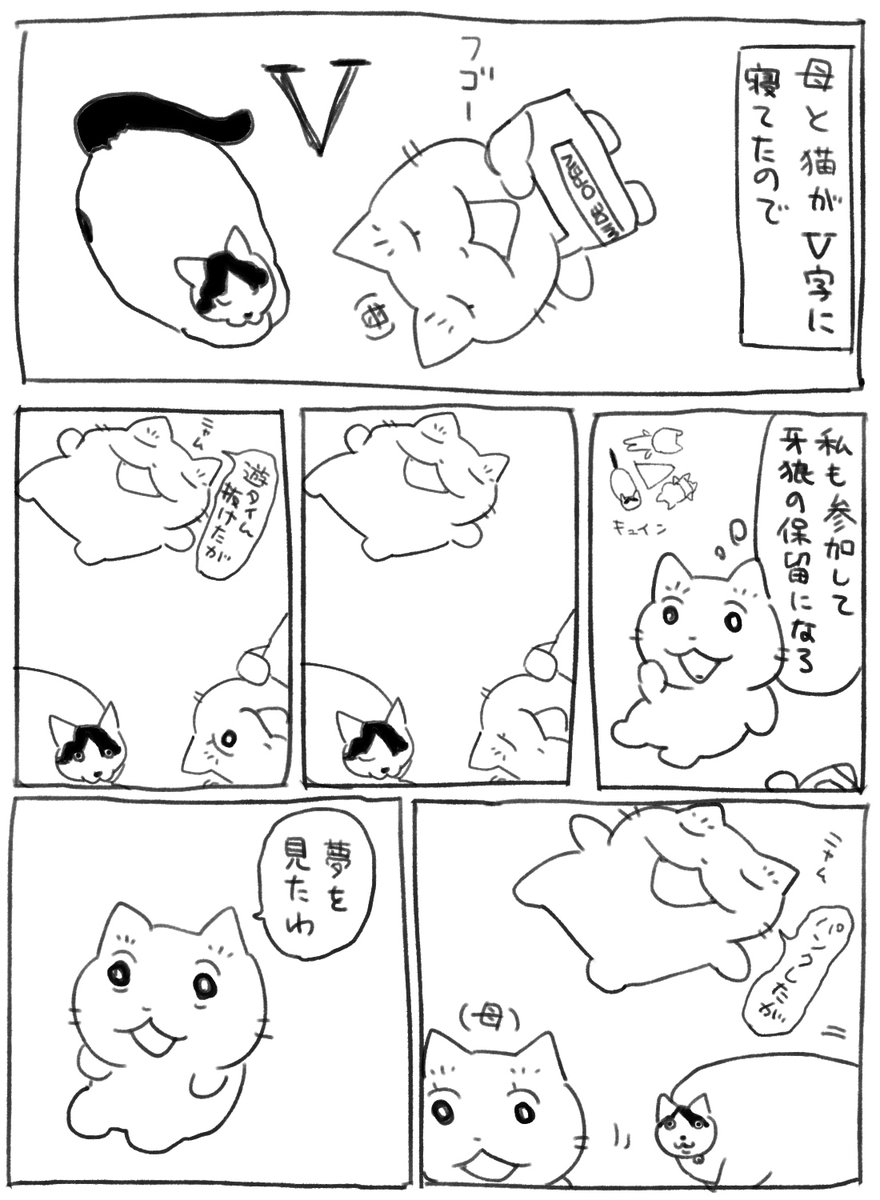 おやすみなさい 