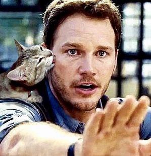 @GarfieldMovie @prattprattpratt And now he is the one !! Happy Meow Day 😍