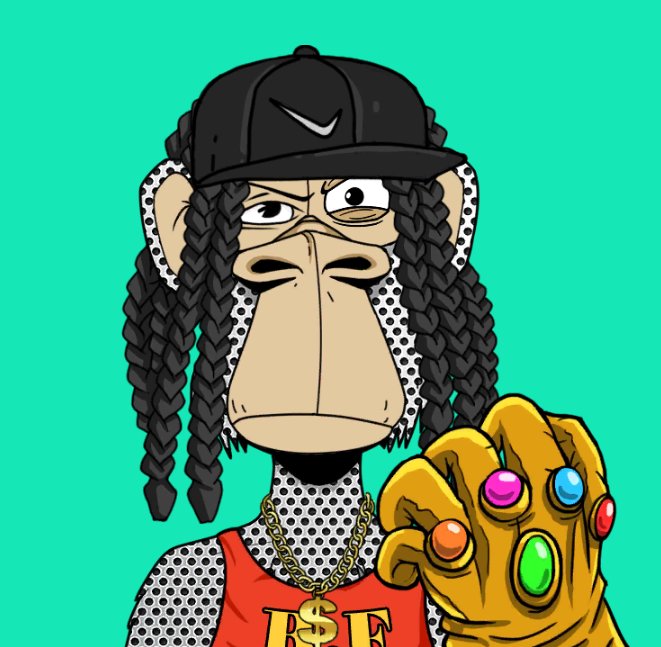 mockingpreside1's tweet photo. I challenge his monkeys to rap.@Rap https://t.co/oScCqgpER6