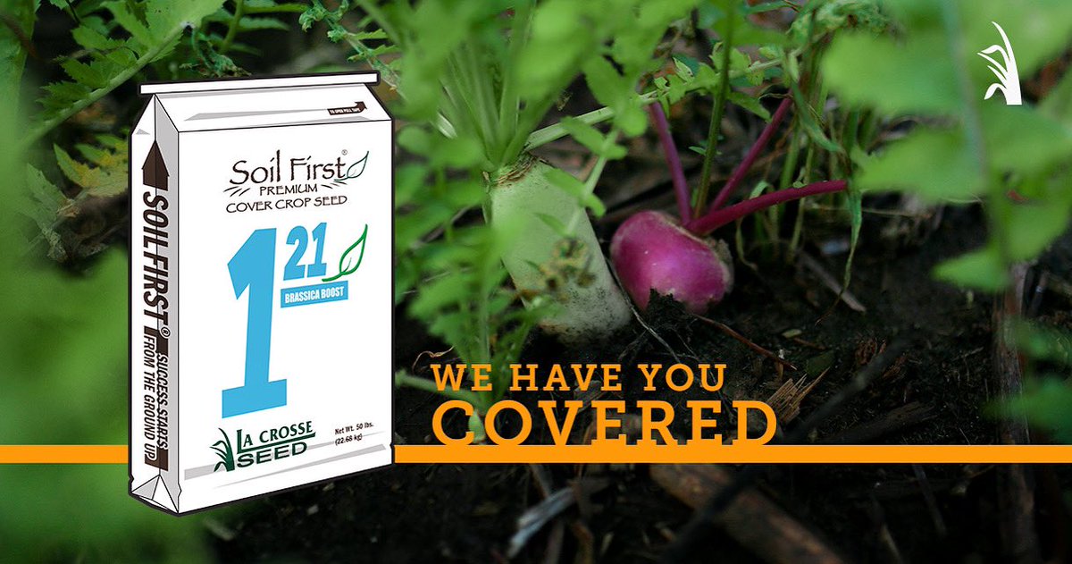 LaCrosseSeed's tweet photo. 🆕 Soil First® 121 Brassica Boost #covercrop Mix 

👉 Used to supplement cereal grains like winter rye &amp; spring oats 

👉 Pairs w/ other species in forage or grazing situations for a balanced diet

Learn more ➡️ https://t.co/BMdfjdP16F 🌱🚜 #soilhealth #radish #turnips https://t.co/CrN4Ksl65g