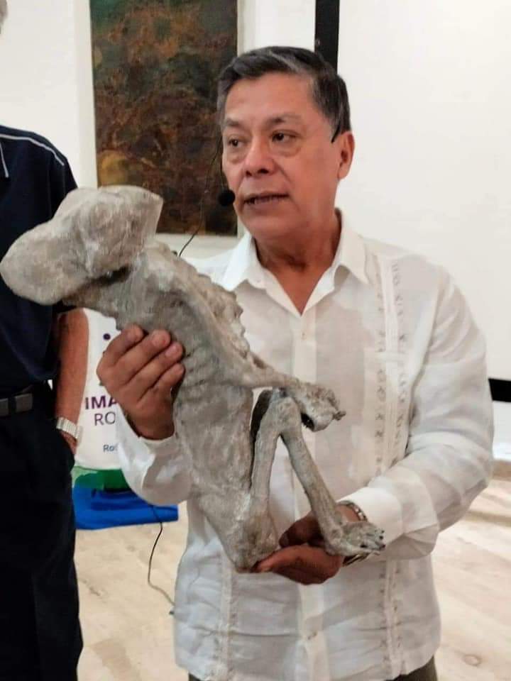 Pulgoso el del otzo ® 🇲🇽 tweet media