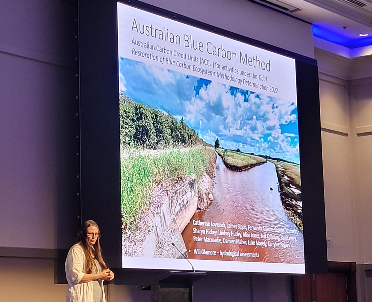 Sophie Russell (@sophkaterussell) on Twitter photo Inspiring plenary talk from <a href="/CathLovelock/">Cath Lovelock</a> on day 2 of #AMSA22 !
Some great insights into future directions and opportunities for #bluecarbon ecosystems Inspiring plenary talk from <a href="/CathLovelock/">Cath Lovelock</a> on day 2 of #AMSA22 !
Some great insights into future directions and opportunities for #bluecarbon ecosystems