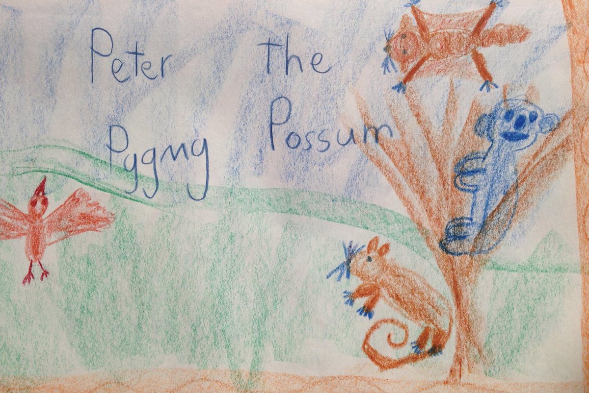 CampbellGomeGrn's tweet image. Old growth forest is precious and we need to protect Victoria&apos;s better. Our kids get it - when will our government? (Artwork by one of my year two students) #StopNativeForestLogging