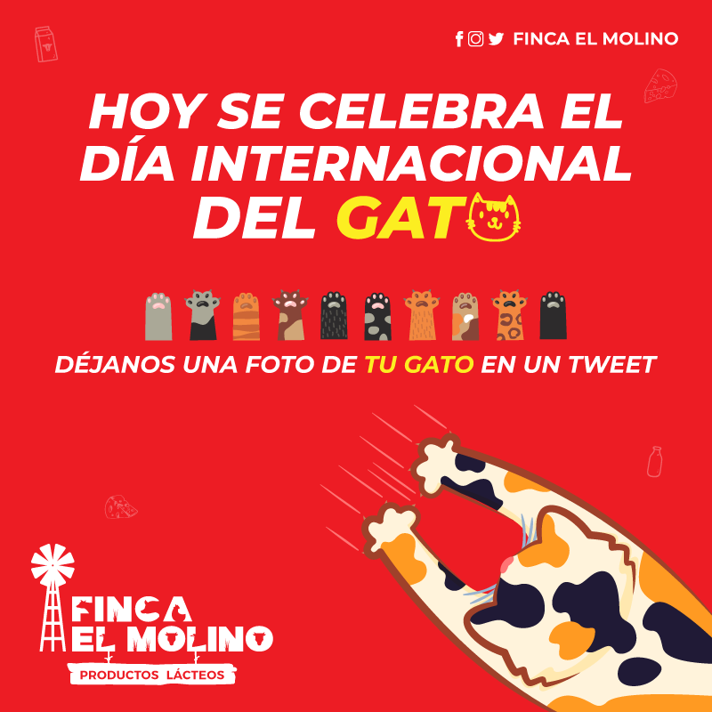 fincaelmolinocr's tweet photo. Queremos ver a sus gatitos. 🐱👇🏻😍 

#DíaInternacionalDelGato https://t.co/2m2CGkOzPG