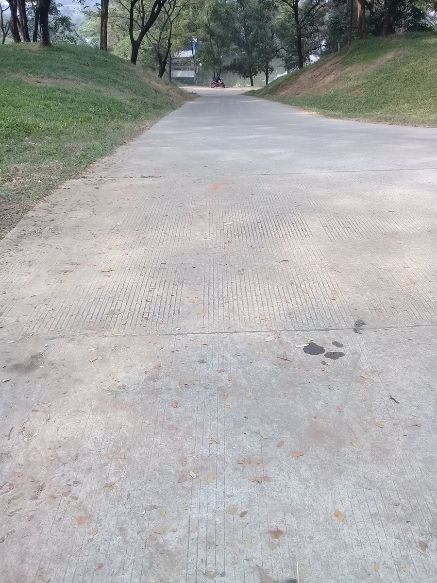 Assalamualaikum selamat pagi semua salam sejahtera

#Programfolowback
#Wefollowback