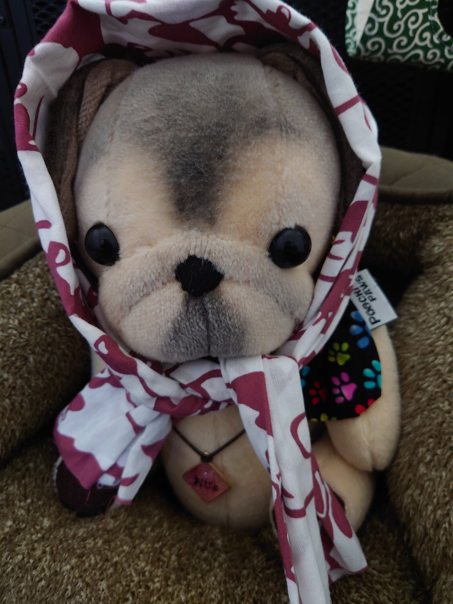 0tbFRLM65pw05xz's tweet image. ㊗️パグの日🎊‼️

#PUGSTYLE さんの手ぬぐいで参加しまーす🙌😆💕‼️

おじょ💕おうちゃん💕ひ～ちゃん💕

今日は世界中のパグちゃん、み〜んなが主役です🤗🍀‼️

#パグの日