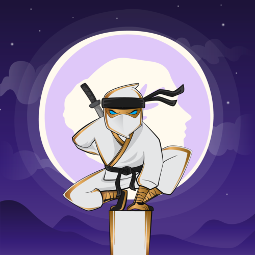 MetisNinjas's tweet photo. This secret #MetisNinja is for sale for only 3 $PEAK on $NFTA Marketplace with a purple Metis BG and white and gold outfit with matching black headband and blye eyes... its amazing <3 @MetisDAO @AdrianStarr108 @JadeTMetis
https://t.co/IXzC82HE3n https://t.co/5DOQVZ85Nk