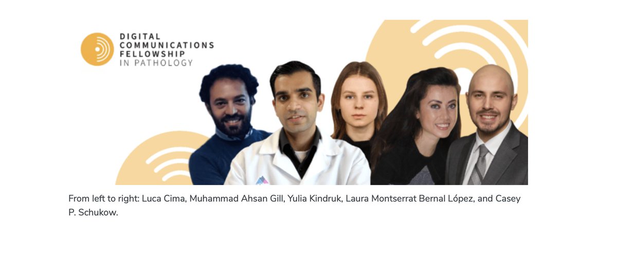 Digital Communications Fellowship in Pathology tweet media