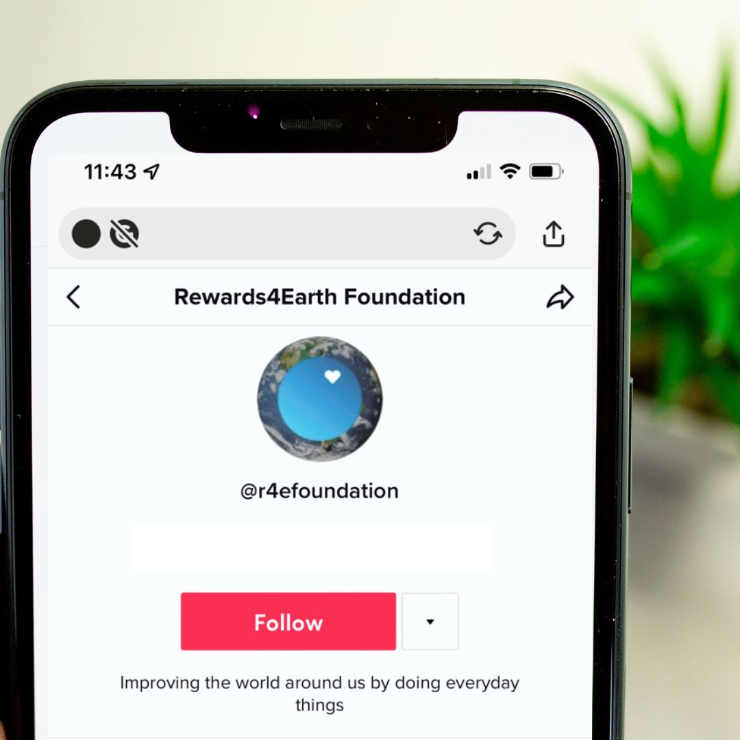 rewards4earth's tweet photo. Did you know that we are now on TikTok? Follow us here: https://t.co/pzZHsXgM0C

#tiktok
#environment
#plasticcleanup
#oceanrejuvenation
#localenvironmentcauses
#endangeredspecies
#cleanenergy
#cleanenergytechnology
#environmentaleducation https://t.co/51nlGkYDPI