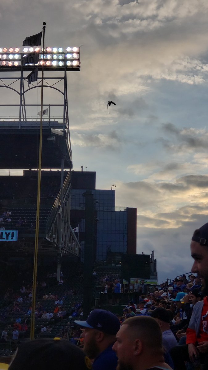 jaygotgame's tweet photo. In 3 days I'm releasing my Field of Dreams #NFT & I'm at #WrigleyField tonight ⚾️💫
@Cubs #SerendipityAccordingtoFrances #fieldofdreams #ifyoubuildittheywillcome #rightfieldsucks https://t.co/g8YccszO0w