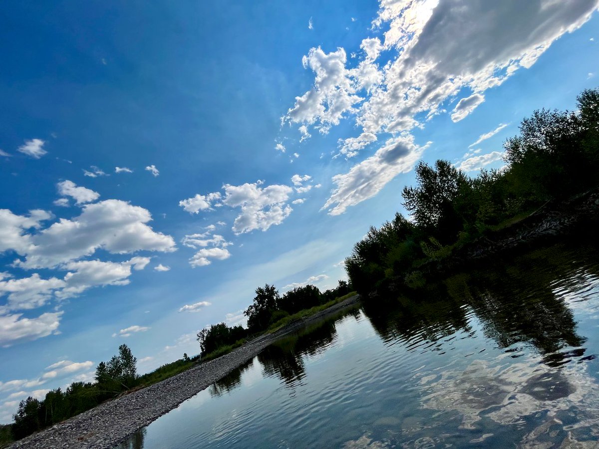 JasonKechely's tweet image. Trying to cool off by pouring this river over my head-without the clouds getting stuck in my ears. Heavy, but refreshing...
#GallatinRiver  #ValleyOfTheFlowers  #MTSummer