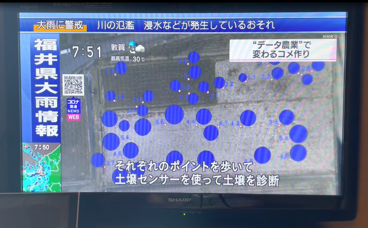 SOZO_DRONE's tweet photo. 先日の可変施肥デモに関しNHK福井様の放送がありました。
4日の大雨で放送が5日の朝になったようです。
(テレビ放送をスマホで撮りました)
#可変施肥 #土壌センサー #P4Multispectral #T30 #創造社 #加賀市 #あわら市 #移動オフィス #スマート農業 https://t.co/LhMiW1eZGQ