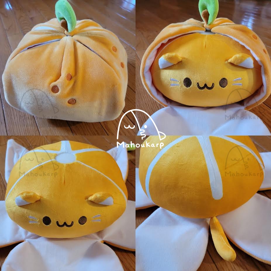 Mahoukarp's tweet photo. orange cat https://t.co/bfJcyFhg5b