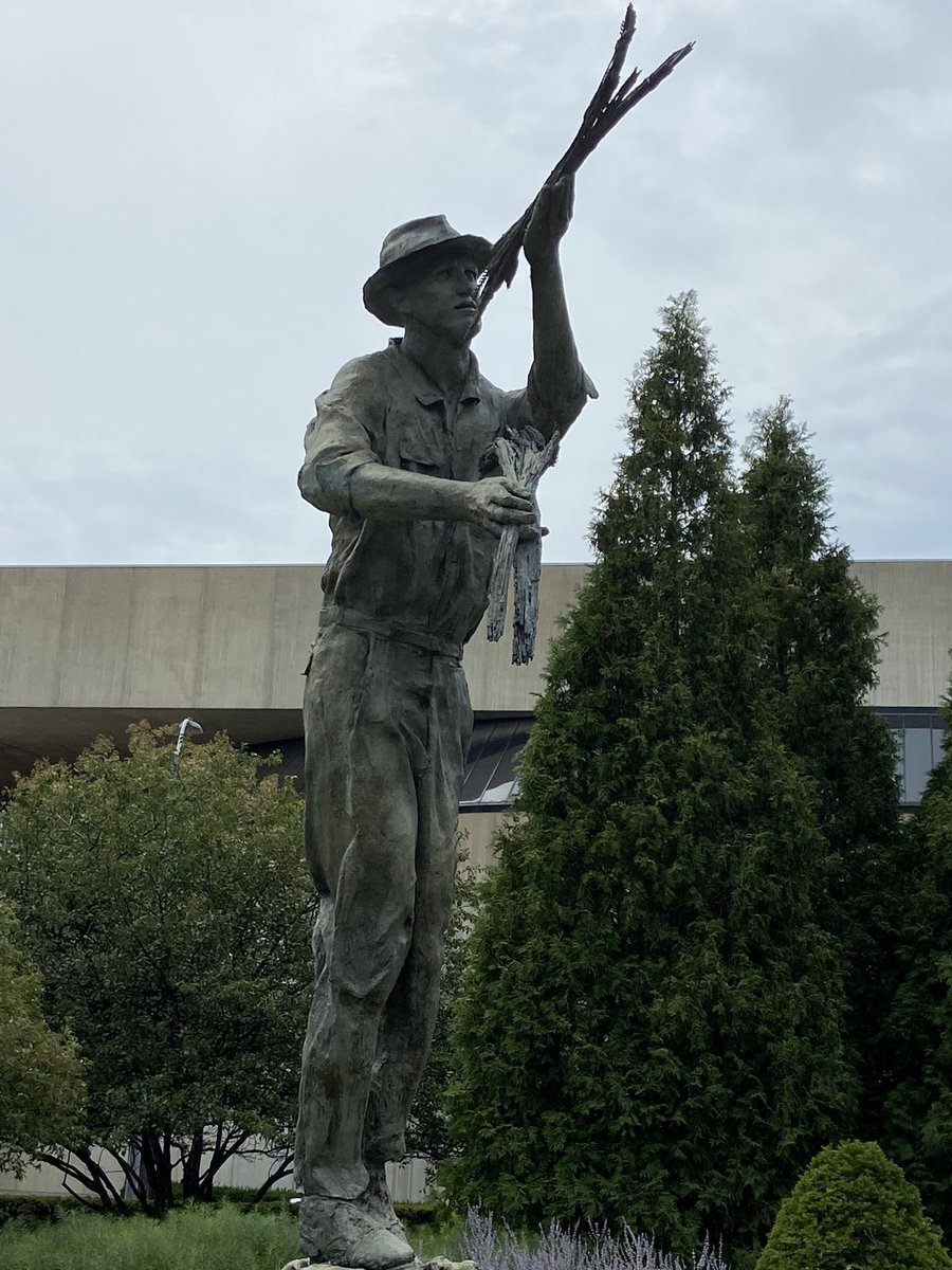 Shuyu Liu tweet media