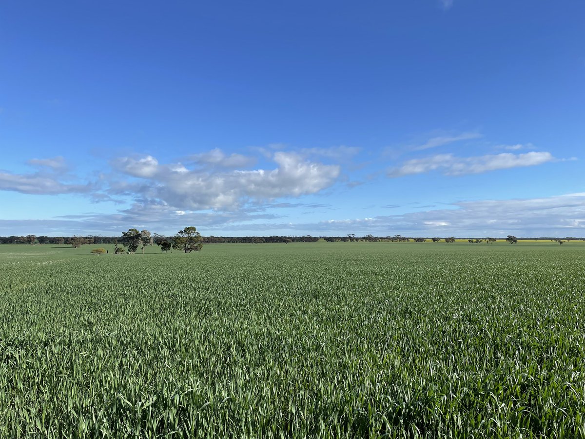 De Price tweet media