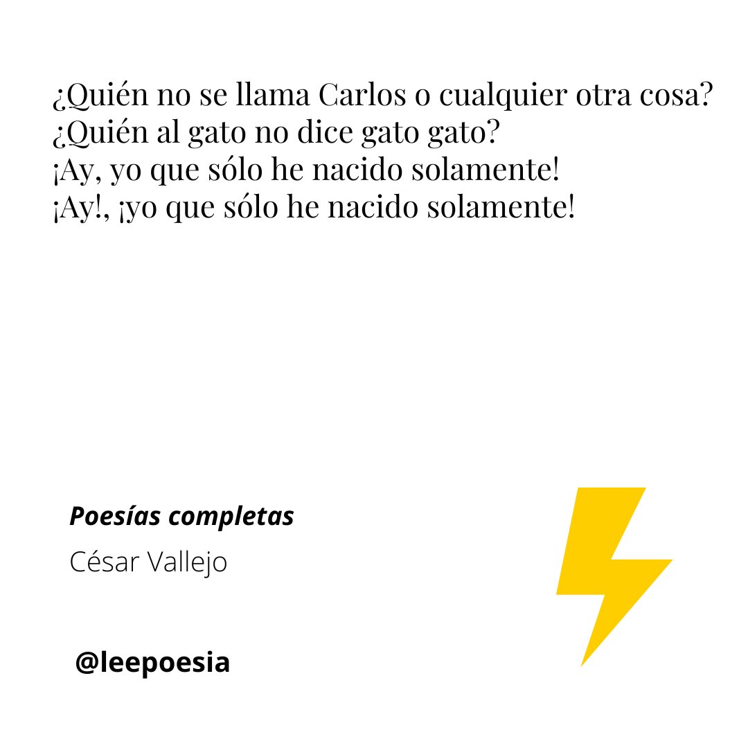 LeePoesia's tweet photo. En el #DíaDelGato 😺 https://t.co/6G0Y3FkxWF