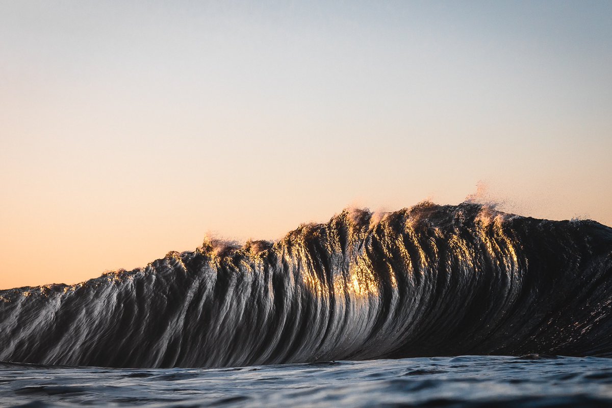 tron_orphic's tweet photo. I shot all these in one swim recently off the east coast of Tasmania. Which one is your favourite..? https://t.co/cvFMatYAcR
