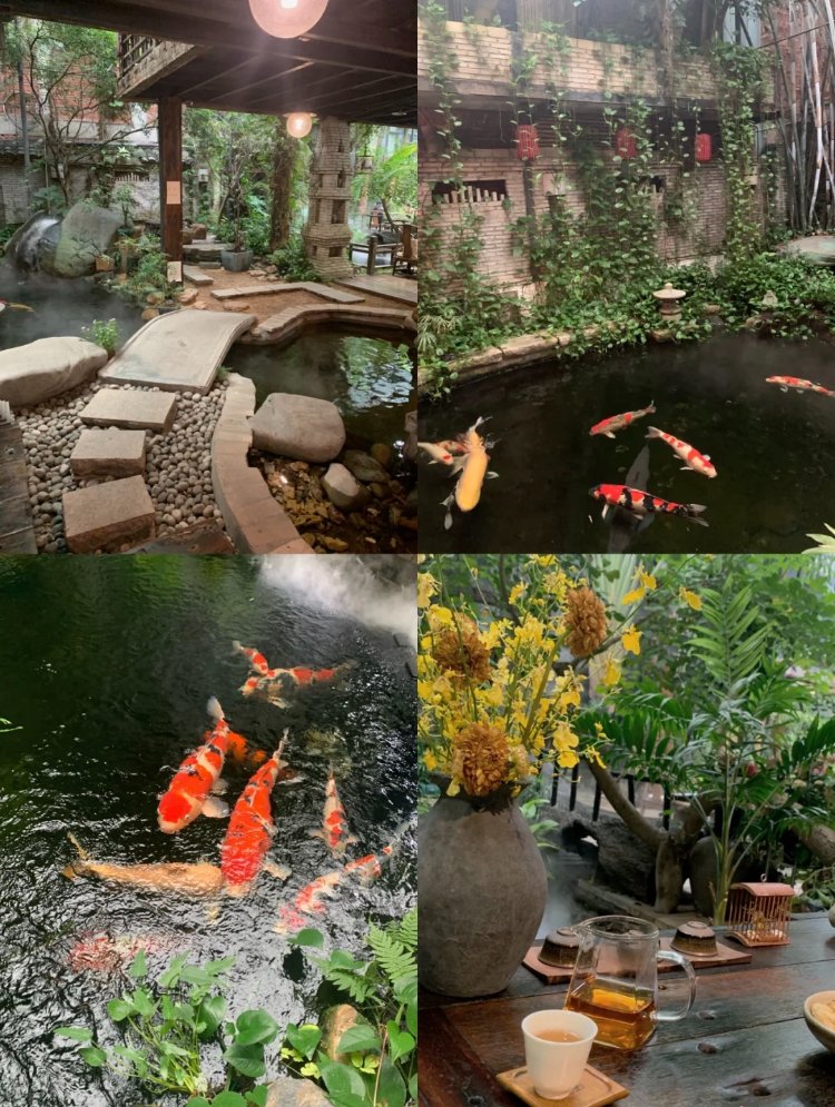 AndrewKeasling's tweet photo. Water, fish and books are a good place to relax☺️ https://t.co/KkdTUDrHXT